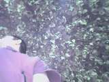 link thumbnail