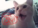 link thumbnail