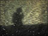 link thumbnail