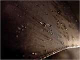link thumbnail
