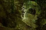 link thumbnail