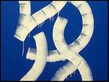 link thumbnail