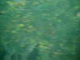 link thumbnail