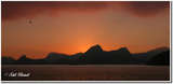 link thumbnail