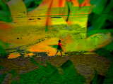 link thumbnail
