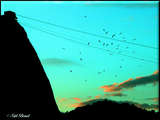 link thumbnail