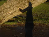 link thumbnail