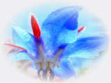 link thumbnail