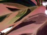 link thumbnail