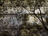 link thumbnail