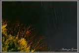 link thumbnail