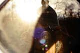 link thumbnail