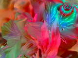 link thumbnail