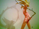 link thumbnail