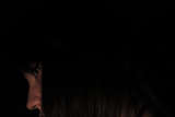 link thumbnail