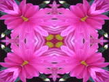 link thumbnail