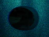 link thumbnail