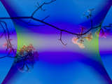 link thumbnail