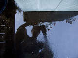 link thumbnail
