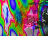 link thumbnail