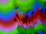link thumbnail