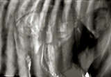 link thumbnail