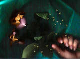 link thumbnail