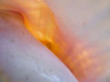 link thumbnail