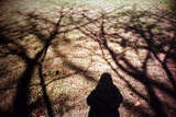 link thumbnail