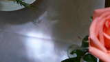 link thumbnail