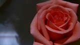 link thumbnail