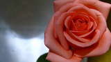 link thumbnail