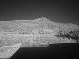 latest image thumbnail