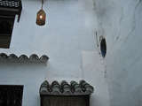 latest image thumbnail