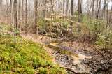 Our stream latest image