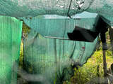 link thumbnail