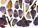 link thumbnail