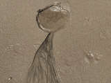 link thumbnail