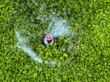 link thumbnail